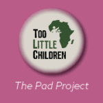 Sewing Ministry: Pad Project