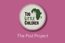 Sewing Ministry: Pad Project